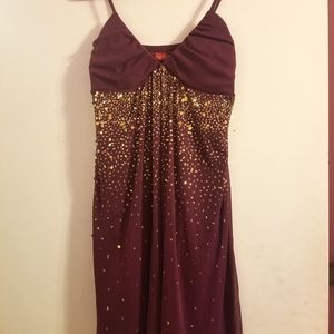 Eggplant Gold Sequin Dress